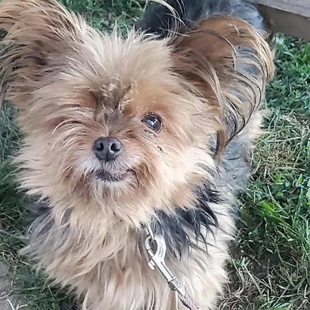 Apartamento Les Gardiens De La Vallée