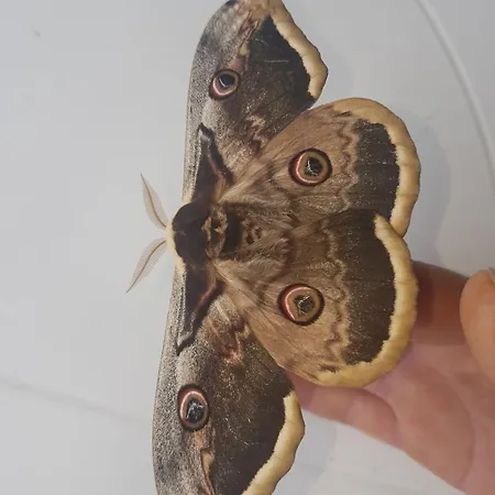 Apartamento Les Gardiens De La Vallée *