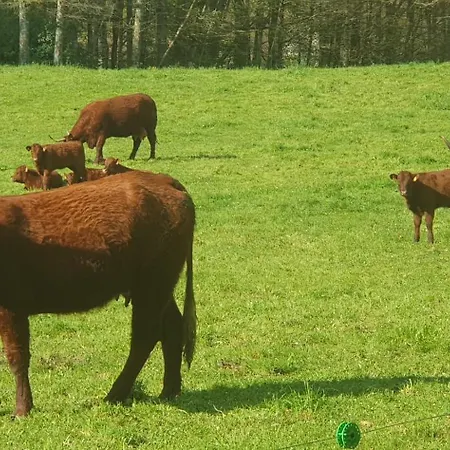 Les Gardiens De La Vallee Daire