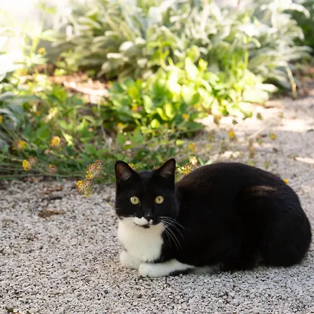 Les Gardiens De La Vallee Figeac