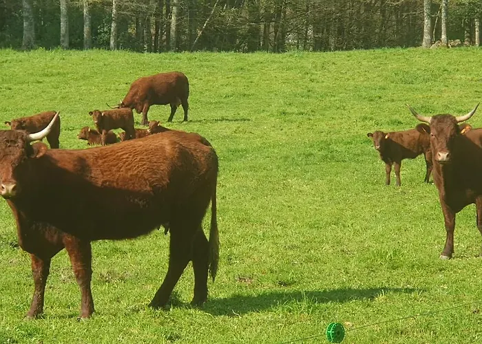 Les Gardiens De La Vallee Apartment