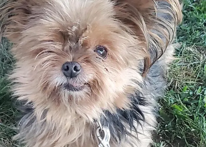 Appartement Les Gardiens De La Vallée