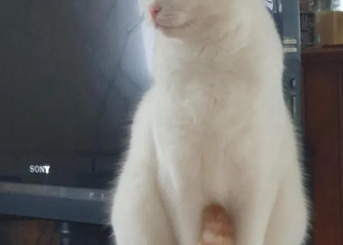 Les Gardiens De La Vallee Figeac