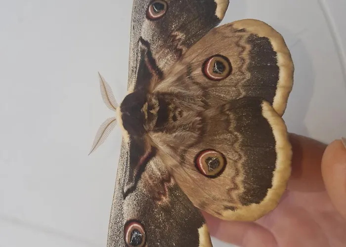 Apartment Les Gardiens De La Vallee *