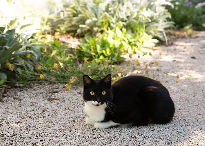 Les Gardiens De La Vallée Figeac